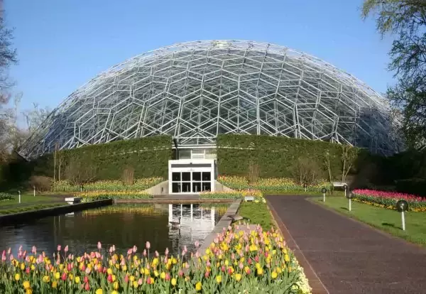 Geodesic Dome